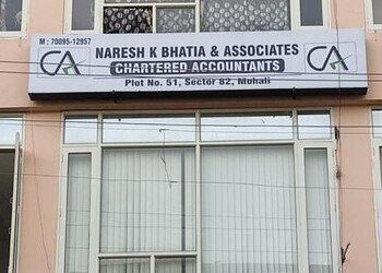 Naresh-k-bhatia-associates-Chartered-accountants-Mohali-Punjab-1