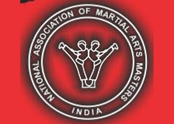 National-association-of-martial-arts-Martial-arts-school-Nagpur-Maharashtra-1