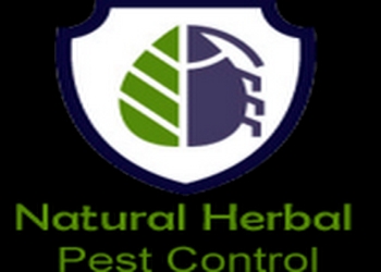 Natural-herbal-pest-control-Pest-control-services-Dwarka-delhi-Delhi-1