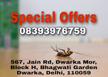 Natural-herbal-pest-control-Pest-control-services-Dwarka-delhi-Delhi-2