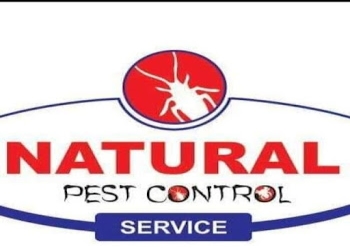 Natural-pest-control-service-Pest-control-services-Padgha-bhiwandi-Maharashtra-1
