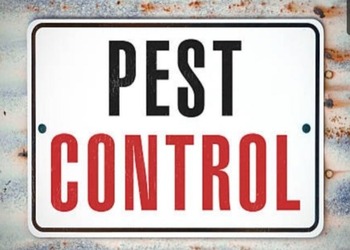 Neelam-pest-control-services-Pest-control-services-Ballupur-dehradun-Uttarakhand-1