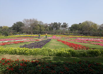 Nehru-park-Public-parks-New-delhi-Delhi-2
