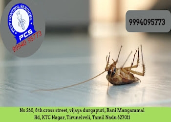 Nellai-pest-control-Pest-control-services-Melapalayam-tirunelveli-Tamil-nadu-2