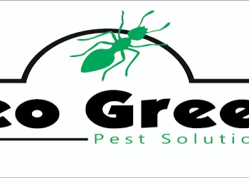 Neo-green-pest-control-Pest-control-services-Patia-bhubaneswar-Odisha-1