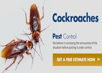 Neo-green-pest-control-Pest-control-services-Patia-bhubaneswar-Odisha-2