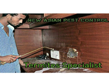 New-asian-pest-control-Pest-control-services-Hasthampatti-salem-Tamil-nadu-1