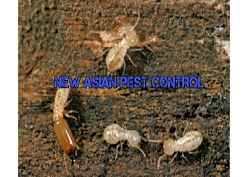 New-asian-pest-control-Pest-control-services-Salem-junction-salem-Tamil-nadu-2