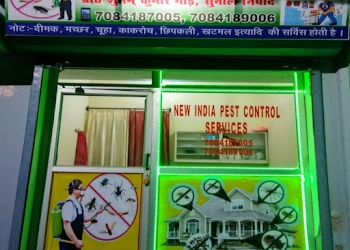 New-india-pest-control-service-Pest-control-services-Basharatpur-gorakhpur-Uttar-pradesh-1