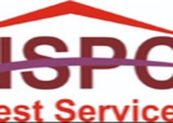 New-sai-pest-control-service-Pest-control-services-Sector-31-faridabad-Haryana-2