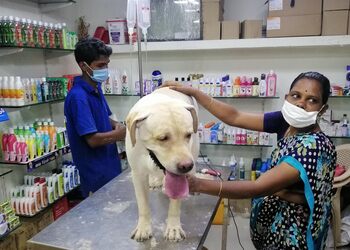 New-tom-jerry-pet-shop-Pet-stores-Anna-nagar-chennai-Tamil-nadu-3