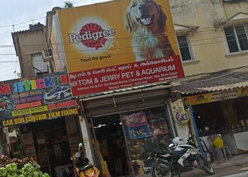 New-tom-jerry-pet-shop-Pet-stores-Choolaimedu-chennai-Tamil-nadu-1