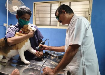Nirmala-pet-clinic-Veterinary-hospitals-Aurangabad-Maharashtra-2