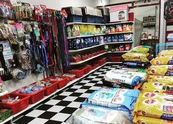 No1-pet-shop-Pet-stores-Gandhipuram-coimbatore-Tamil-nadu-2