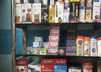 Noahz-pets-ark-Pet-stores-Sreekaryam-thiruvananthapuram-Kerala-2