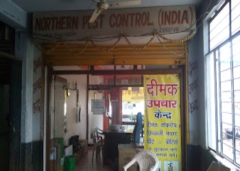 Northern-pest-control-india-limited-Pest-control-services-Kamla-nagar-agra-Uttar-pradesh-1