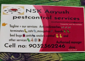 Nsk-aayush-pest-control-services-Pest-control-services-Dilsukhnagar-hyderabad-Telangana-1