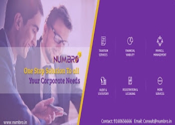 Numbro-consulting-Business-consultants-Banjara-hills-hyderabad-Telangana-1