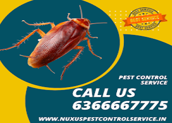 Nuxus-pest-control-services-Pest-control-services-Bellandur-bangalore-Karnataka-2