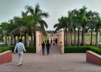 O-p-jindal-park-Public-parks-Hisar-Haryana-3