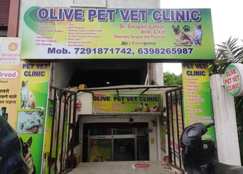 Olive-pet-vet-clinic-Veterinary-hospitals-Moradabad-Uttar-pradesh-1