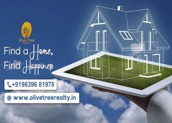 Olive-tree-realty-Real-estate-agents-Deoband-saharanpur-Uttar-pradesh-3