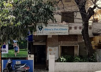 Olives-pet-clinic-Veterinary-hospitals-Habsiguda-hyderabad-Telangana-1