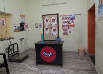 Olives-pet-clinic-Veterinary-hospitals-Lakdikapul-hyderabad-Telangana-2