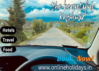 Online-holidays-Travel-agents-Rajbagh-srinagar-Jammu-and-kashmir-2