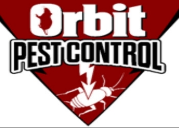 Orbit-pest-control-pvt-ltd-Pest-control-services-Charbagh-lucknow-Uttar-pradesh-1