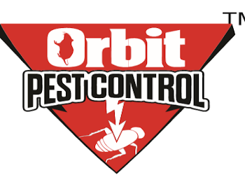 Orbit-pest-control-pvt-ltd-Pest-control-services-Danapur-patna-Bihar-1