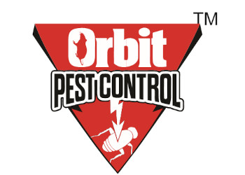 Orbit-pest-control-pvt-ltd-Pest-control-services-Gandhi-maidan-patna-Bihar-1