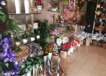 Orchid-flora-Flower-shops-Gandhinagar-Gujarat-3