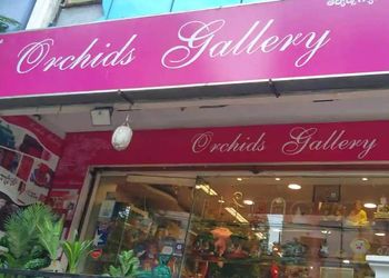 Orchids-gift-gallery-Gift-shops-Ameerpet-hyderabad-Telangana-1