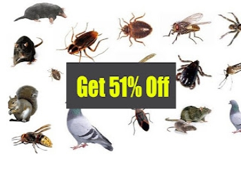 Organic-pest-control-Pest-control-services-Bandra-mumbai-Maharashtra-1