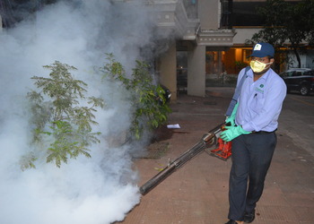 Organic-pest-control-pvt-ltd-Pest-control-services-Borivali-mumbai-Maharashtra-2