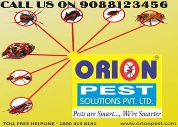 Orion-pest-solutions-Pest-control-services-Andaman-Andaman-and-nicobar-islands-1