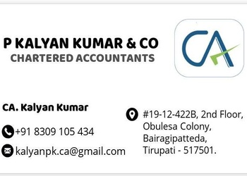 P-kalyan-kumar-co-Chartered-accountants-Tirupati-Andhra-pradesh-1