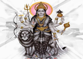P-n-dwivedi-astrologer-palm-reader-Vastu-consultant-Shastri-nagar-kanpur-Uttar-pradesh-1
