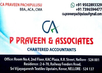 P-praveen-associates-Chartered-accountants-Nellore-Andhra-pradesh-1
