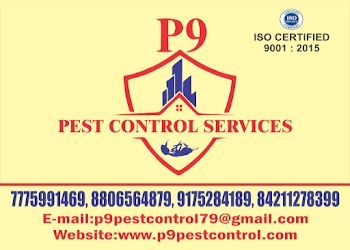 P9-pest-control-services-Pest-control-services-Vasai-virar-Maharashtra-1