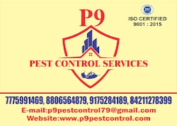 P9-pest-control-services-Pest-control-services-Vasai-virar-Maharashtra-2