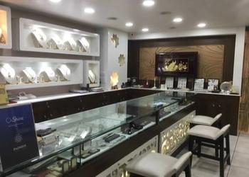 Padmini-jewellers-Jewellery-shops-Siliguri-West-bengal-2