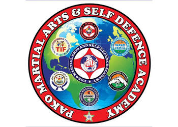 Pako-martial-arts-self-defence-academy-Martial-arts-school-Hyderabad-Telangana-1