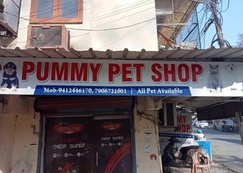 Pammi-pet-shop-Pet-stores-Bareilly-Uttar-pradesh-1