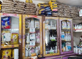 Pammi-pet-shop-Pet-stores-Bareilly-Uttar-pradesh-2