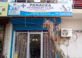 Panacea-veterinary-clinic-Veterinary-hospitals-Botanical-garden-noida-Uttar-pradesh-1