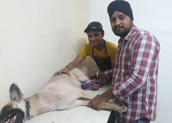 Panacea-veterinary-clinic-Veterinary-hospitals-Indore-Madhya-pradesh-3