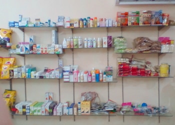 Panacea-veterinary-clinic-Veterinary-hospitals-Noida-Uttar-pradesh-2