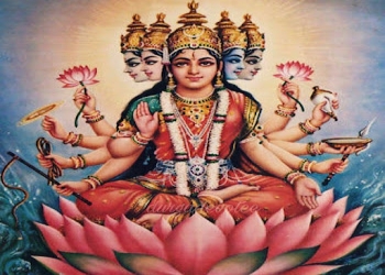 Pandit-nishant-sukhwal-Astrologers-Bhilwara-Rajasthan-1